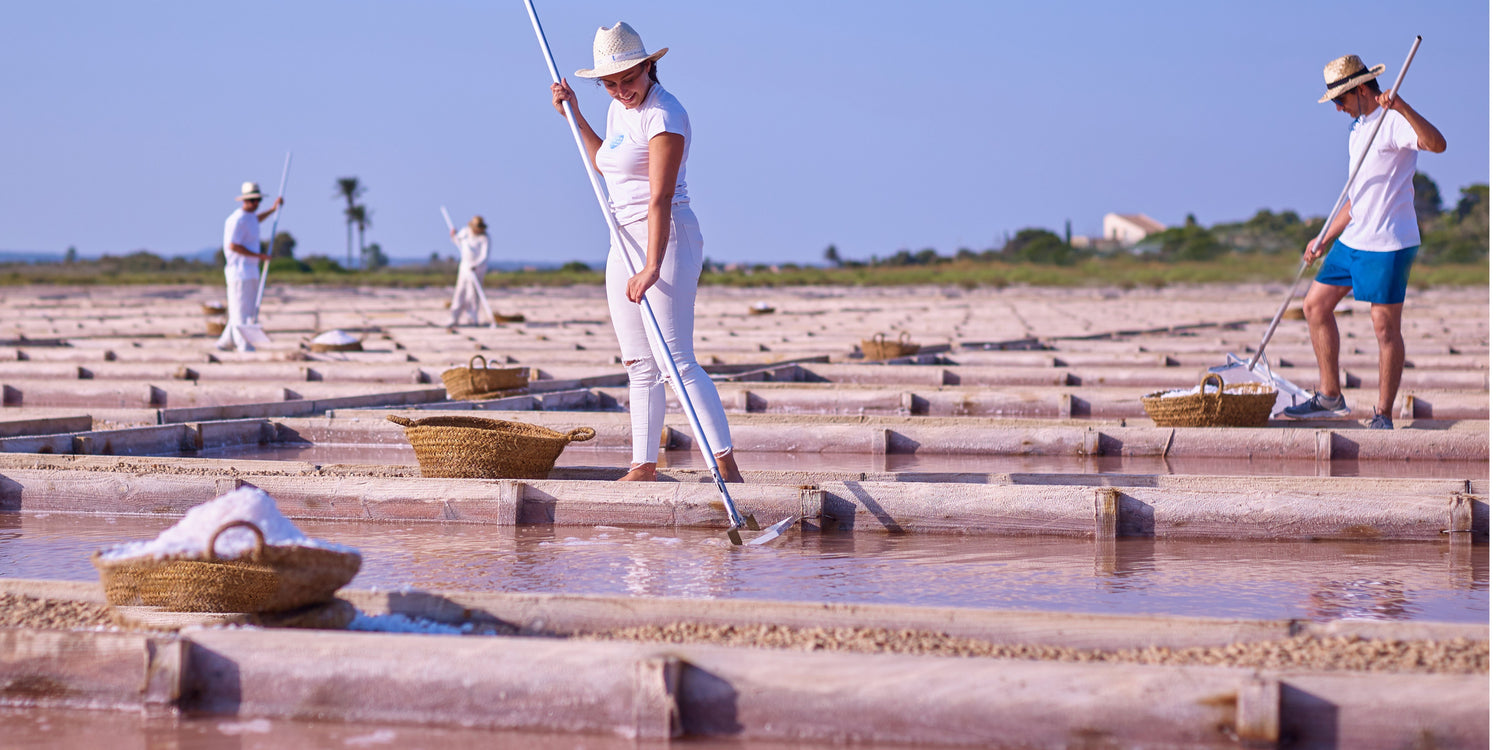 Salzwissen - Flor de Sal vs. Fleur de Sel